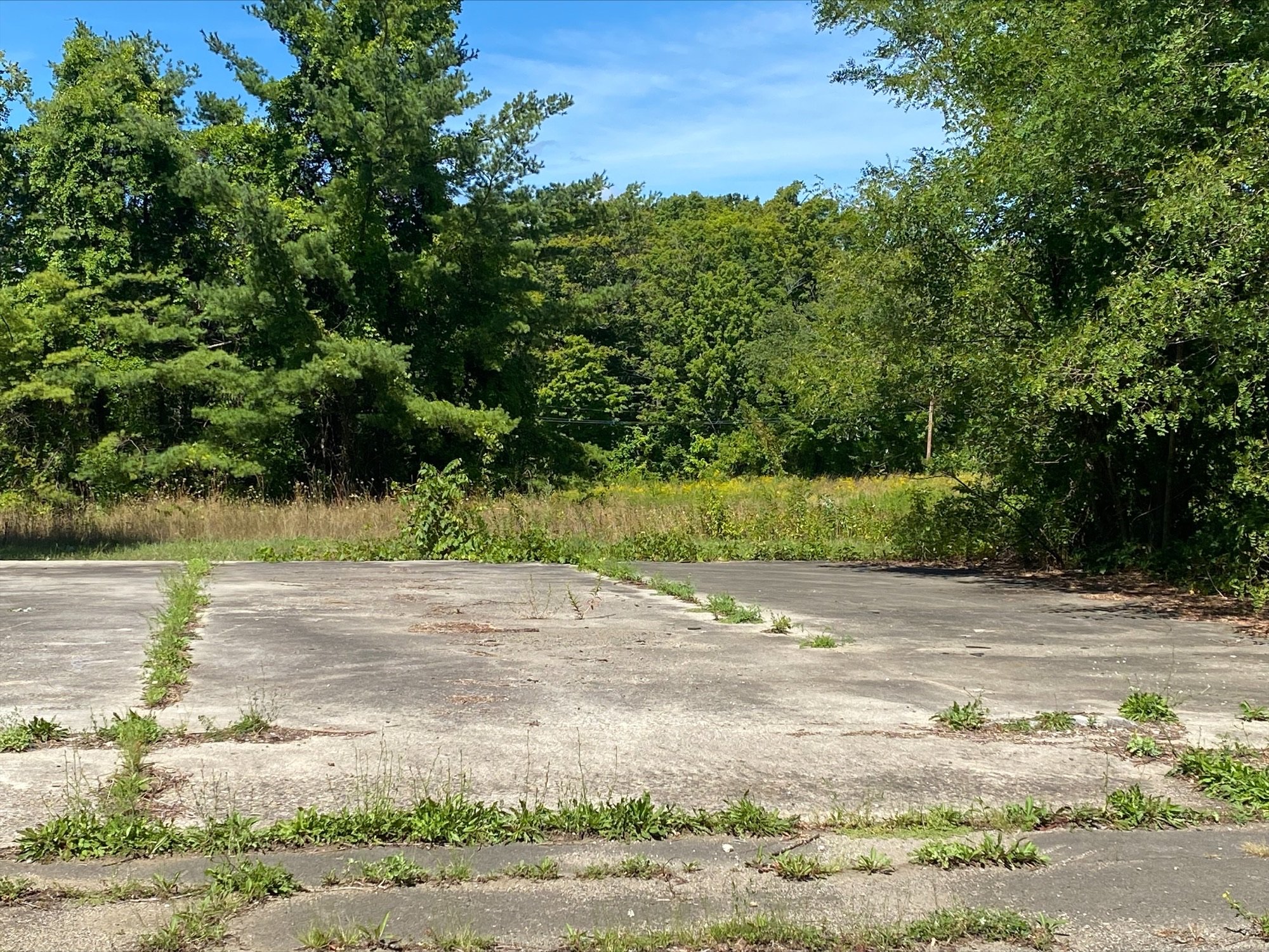 Concrete pad from former industrial building